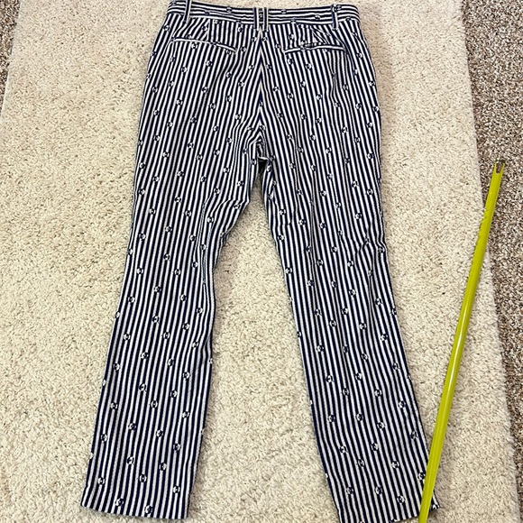 ANTHROPOLOGIE 10 The Essential Slim white and blue stripe cropped pants - Picture 8 of 10